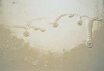 �������, ����������� ��� ������� ����: ��������